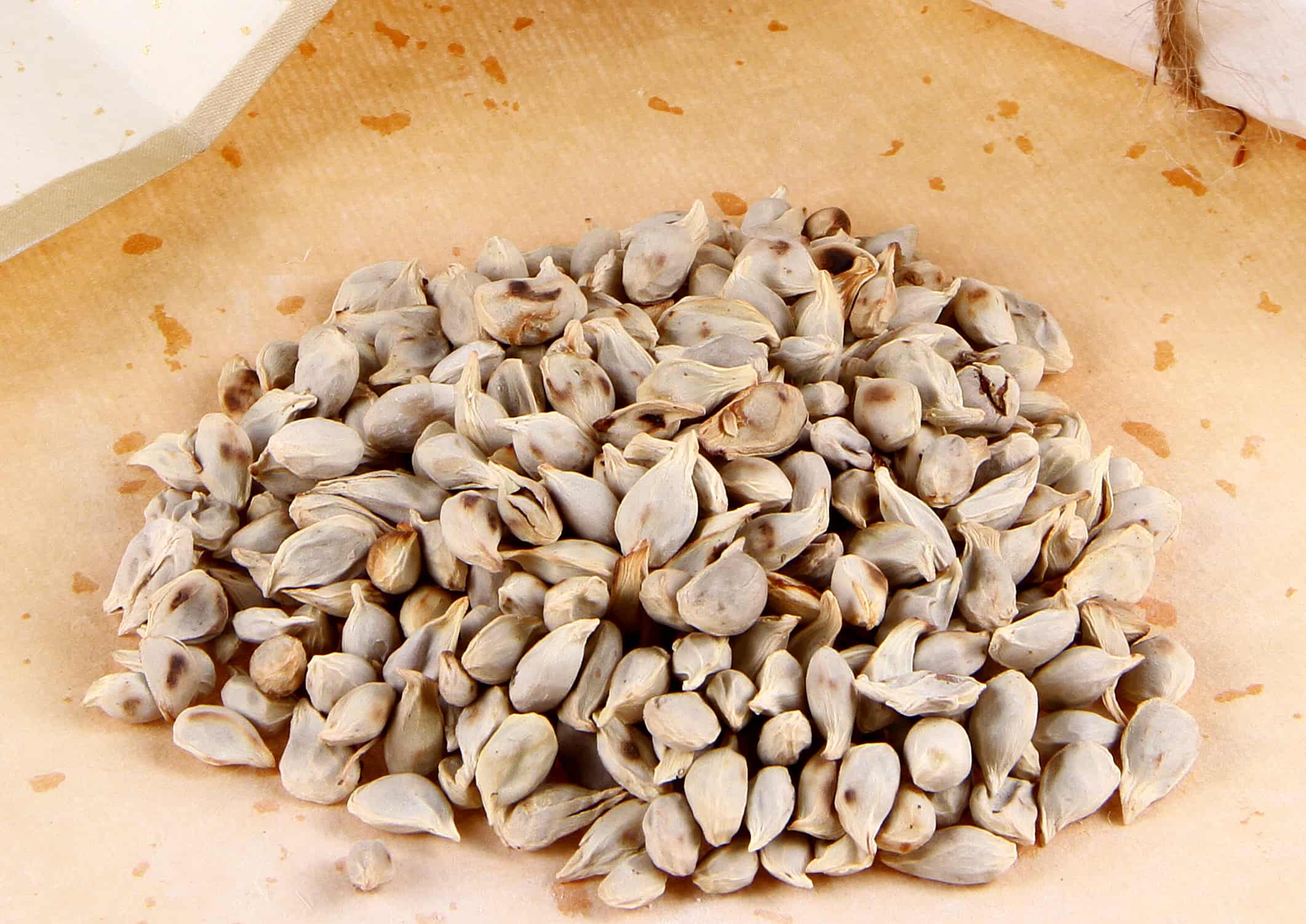 胃癌疼痛怎么办