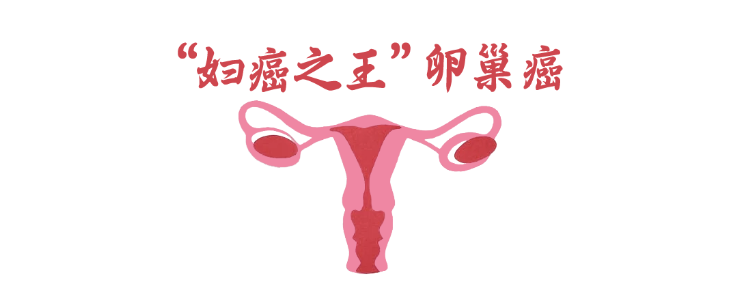 屏幕快照 2025-12-02 下午10.54.33.png