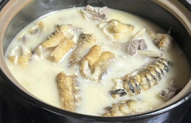 无鳞鱼、有鳞鱼、鸽子、海参，癌症患者到底能不能吃？