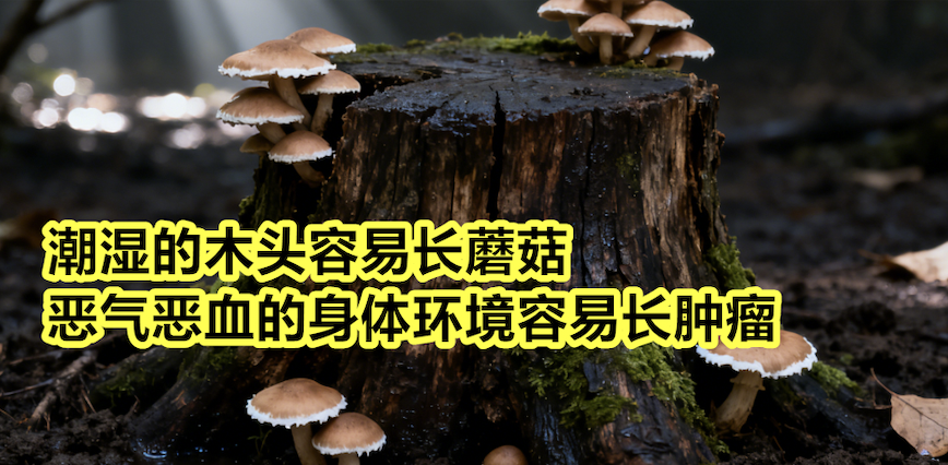 为什么同样是乳腺癌，她的治疗方案和我的不一样？