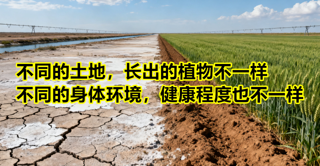 为什么有人高度恶性却活得好好的？答案是因为&hellip;&hellip;