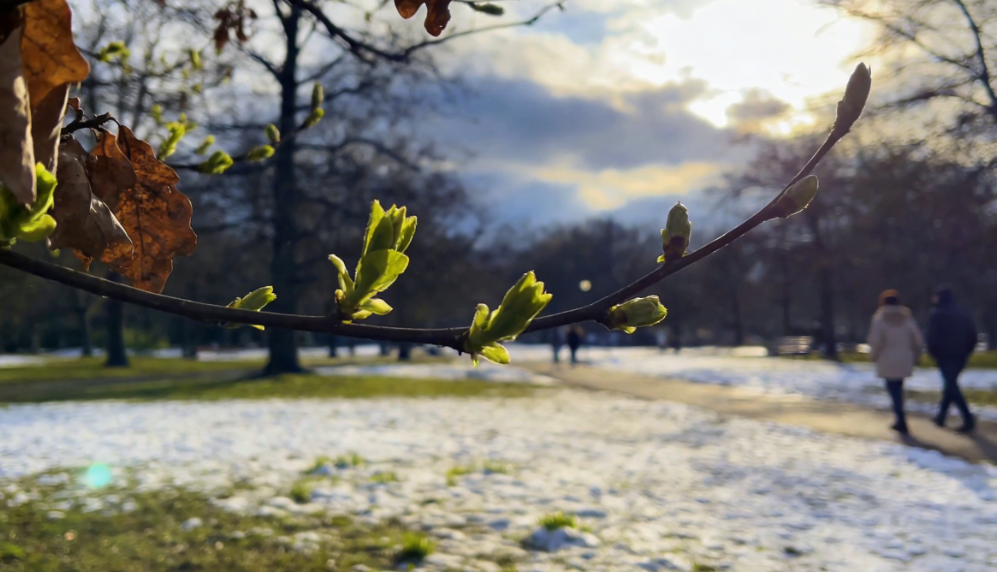 冬春交替，这4类肿瘤患者必须来复诊