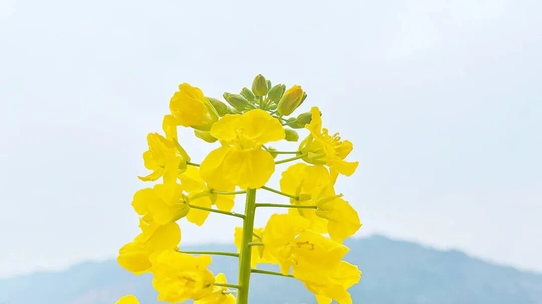 惊蛰一到，干咳、皮肤痒、睡不好？做好这3件事，把复发压下去